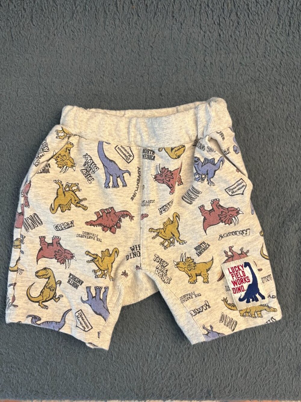 Kids Dinosaur Print Shorts Size 100 Gray Cotton Summer Shorts